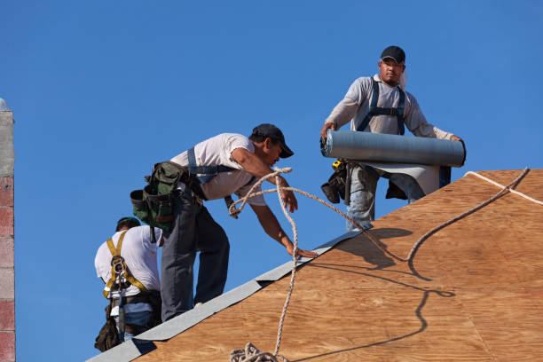 Best Roof Replacement Cost  in Fris, CO
