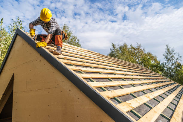 Best Shingle Roofing Installation  in Fris, CO